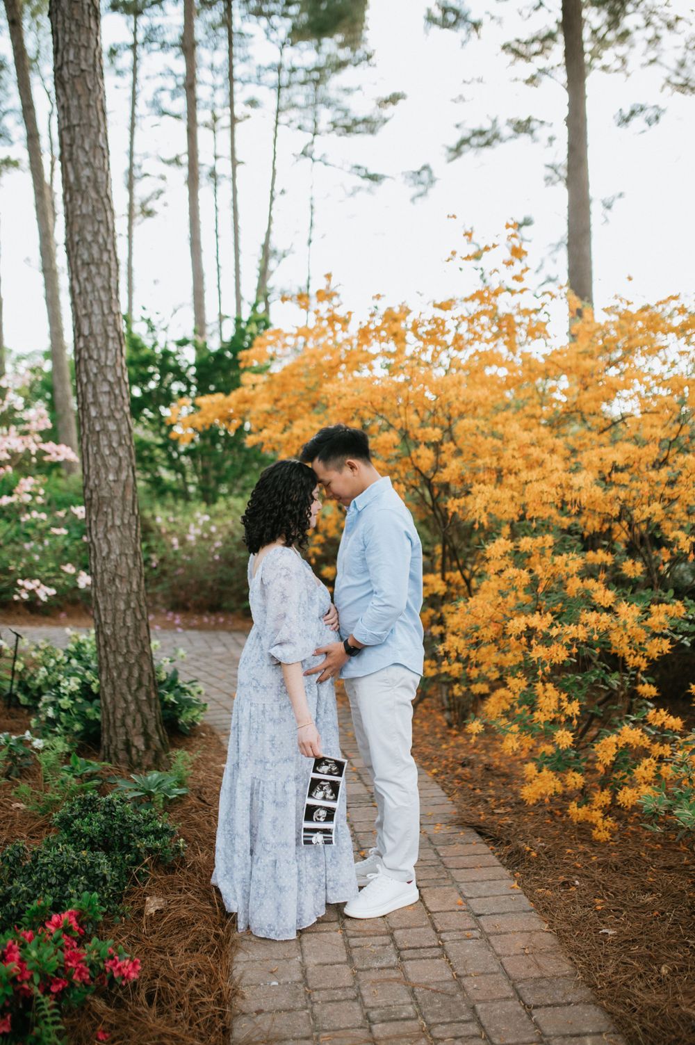 North Carolina photographer, Greensboro photographer, High Point photographer, Winston-Salem Photographer, High Point NC Photographer