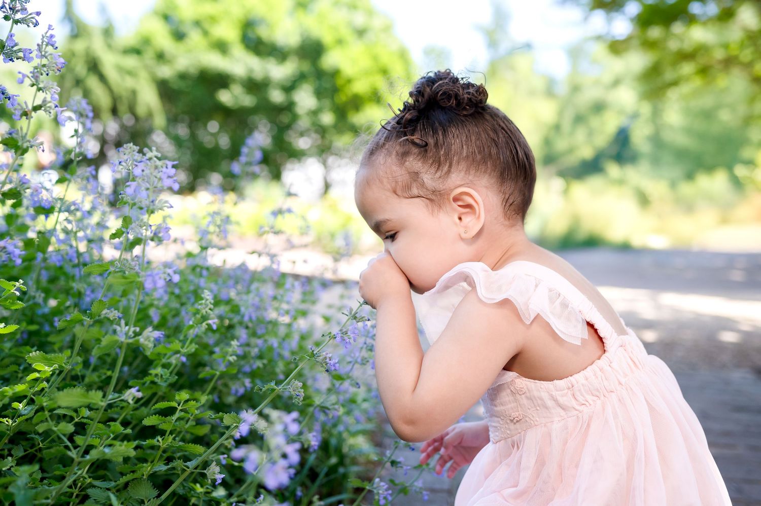 A series of outdoor photos showing a toddler in a pink dress smelling purple flowers on a sunny day.