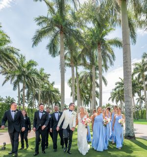 Wedding party walks among tall palm trees, bridesmaids in blue gowns and groomsmen in tuxedos with bride and groom.