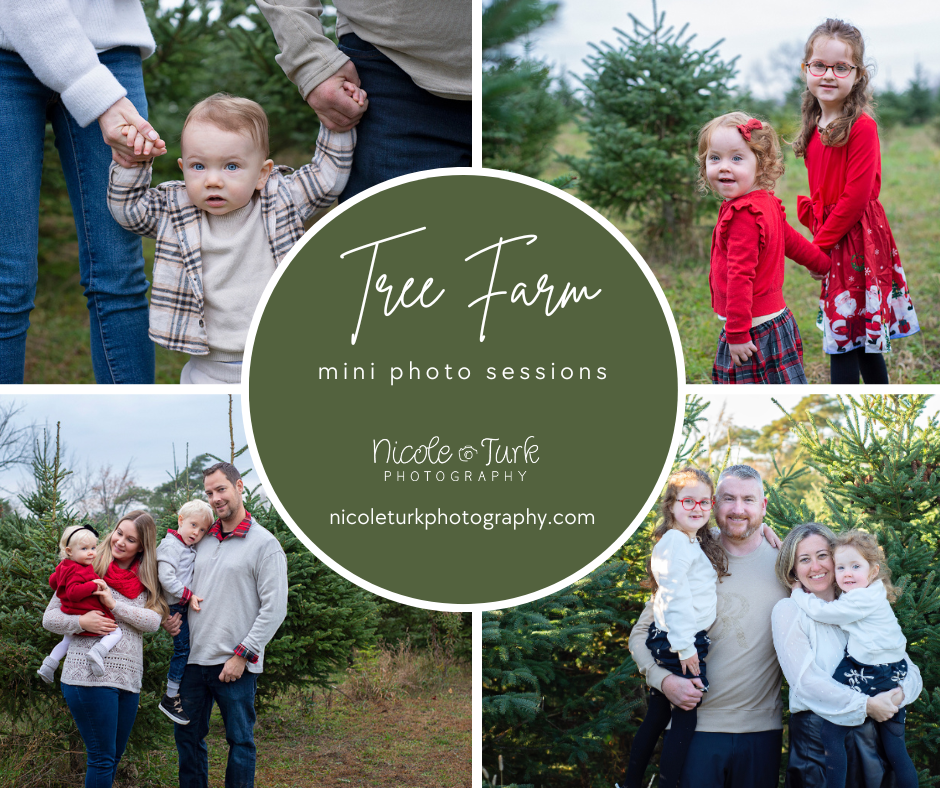 well dressed Family photos outdoor at the Christmas Tree Farm