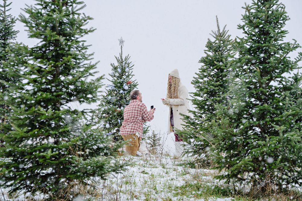 A man proposes to his girlfriend in Hartville at Moore's Tree Farm while the snow gently falls around them and they are surrounded by trees