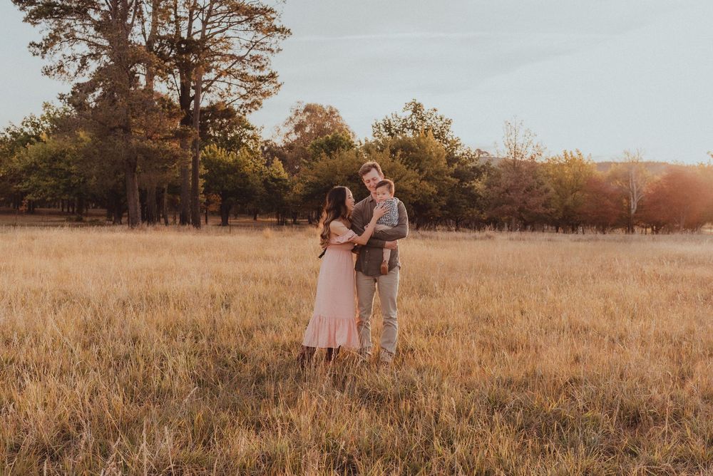 Sunlit autumn meadow with tall golden grass and scattered trees creates a warm, glowing outdoor scene.