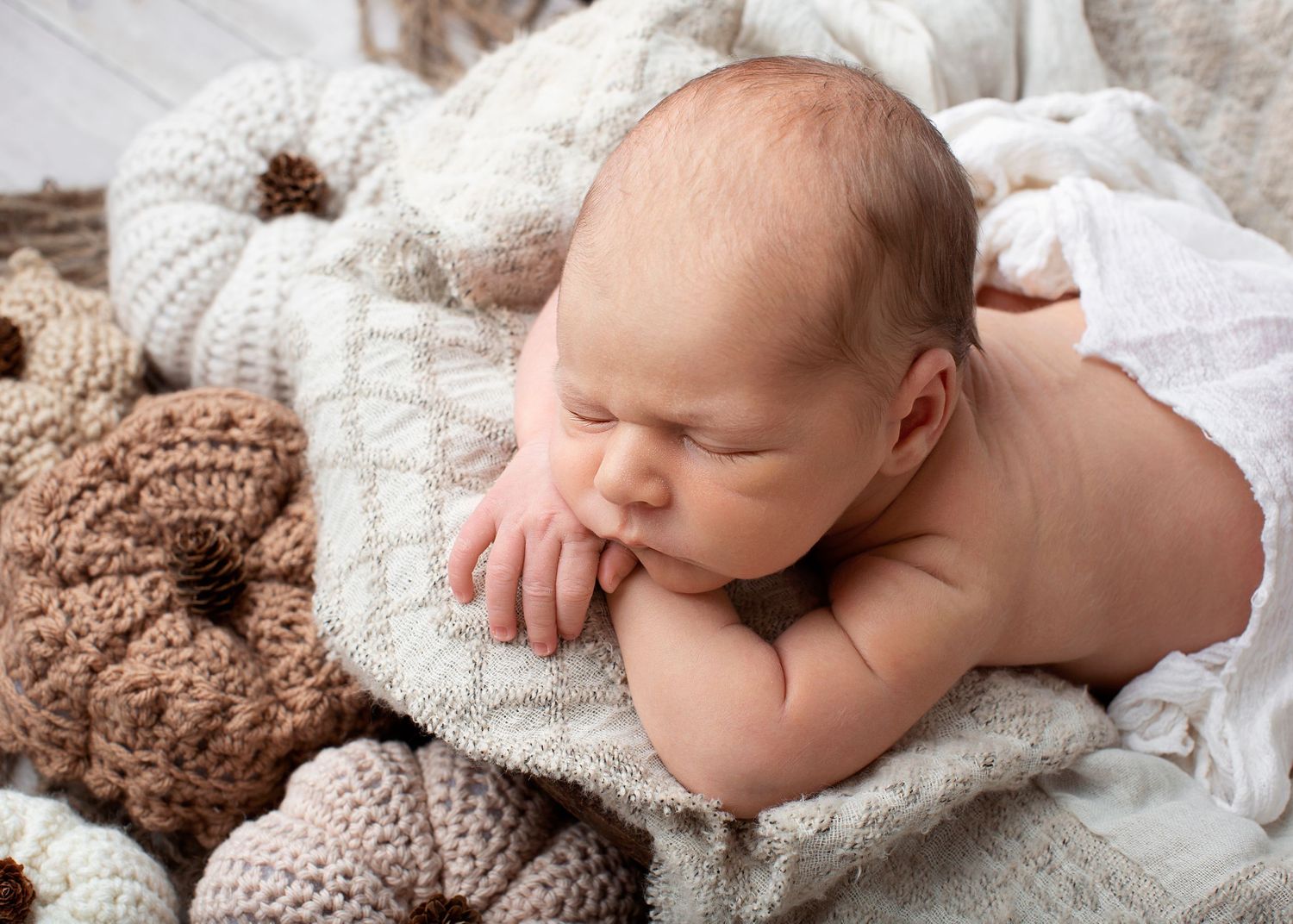 Houston baby photographer in studio