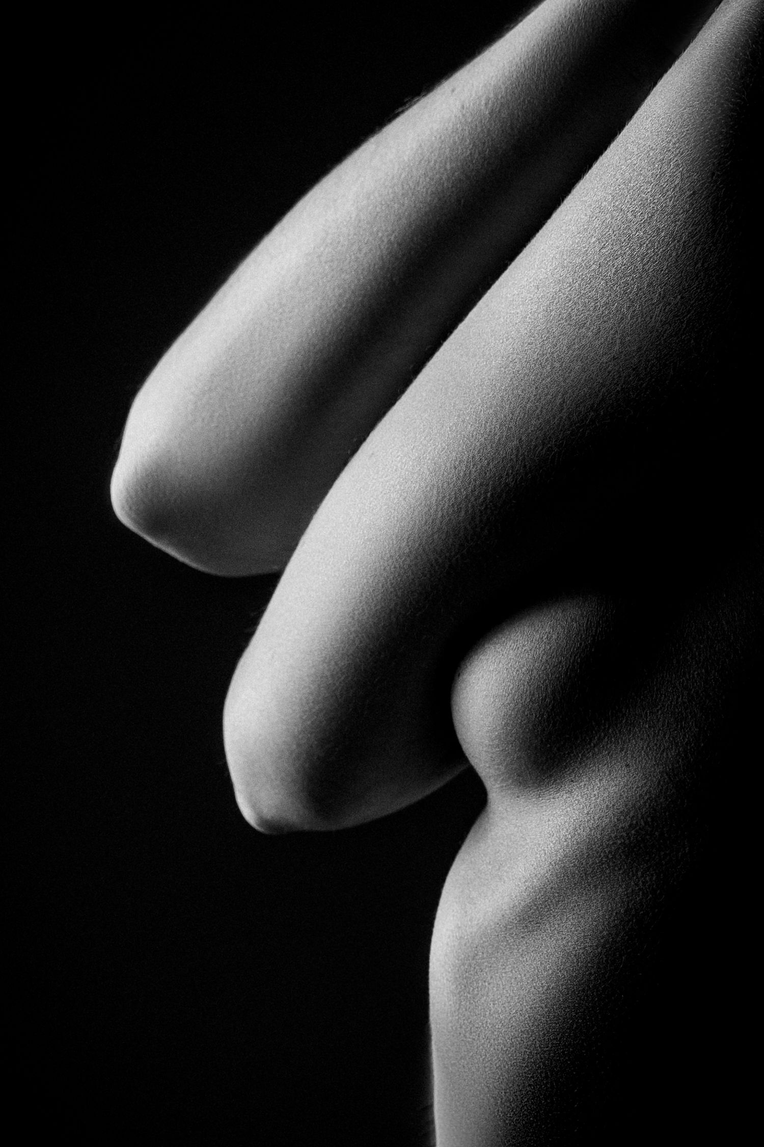 Black and white artistic nude bodyscape of female torso and curves.