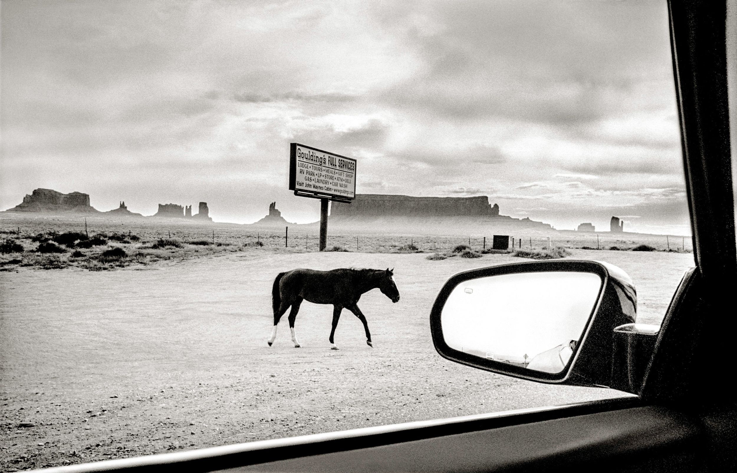 Black and white photo of a horse crossing a desert road near Monument Valley, viewed from a car window with side mirror visible.