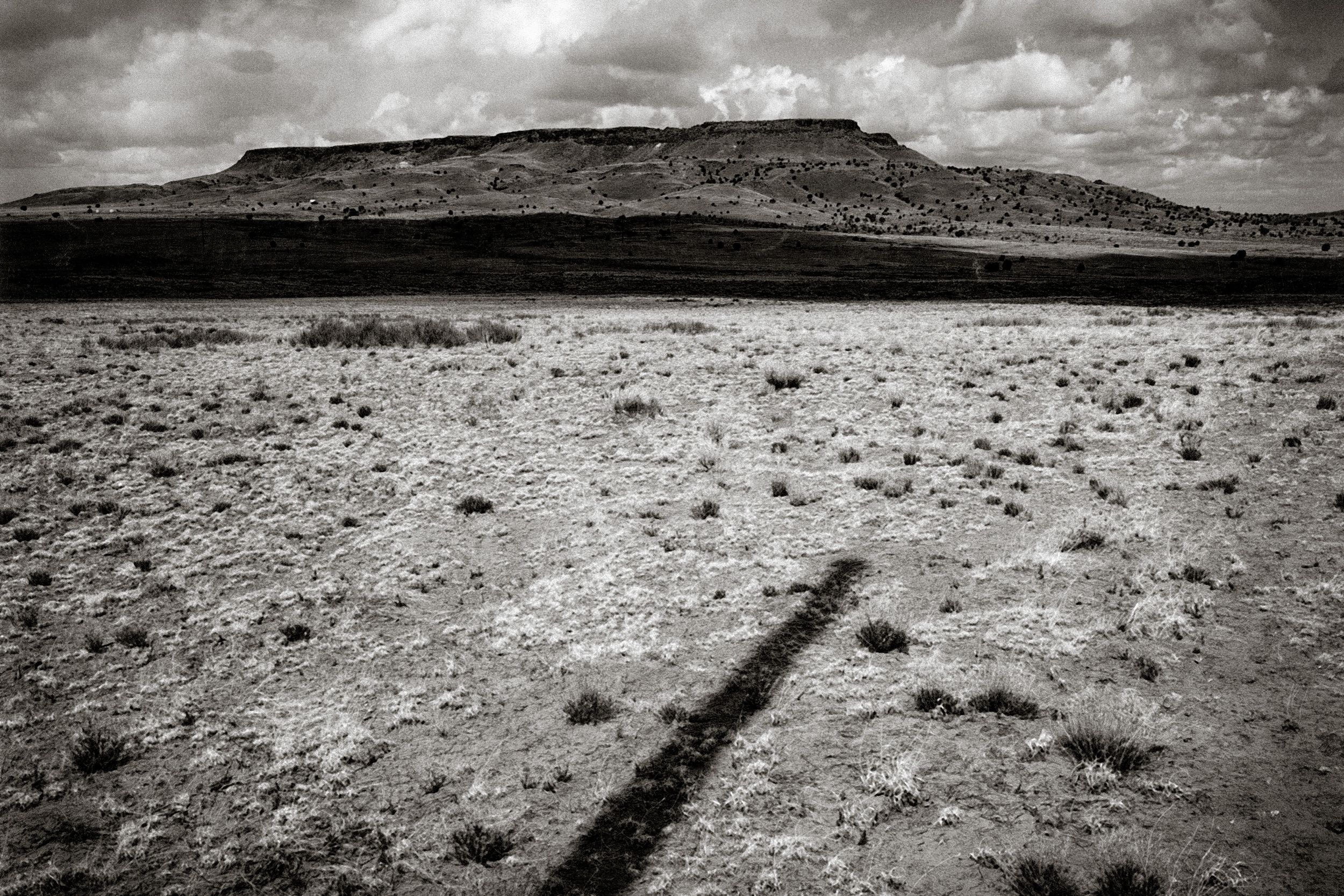 Black and white desert landscape with mesa, sparse scrub, dramatic clouds, and a cross shadow on arid ground.