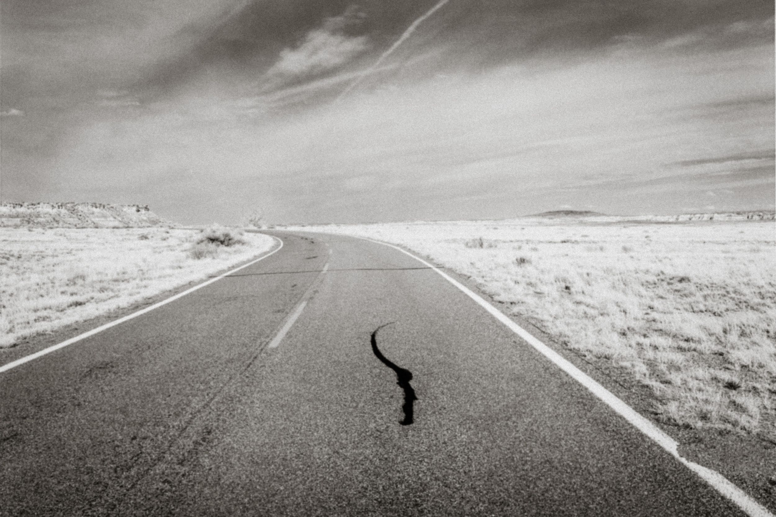 Black and white photo of a lone snake crossing a vast empty desert highway under dramatic cloudy skies.