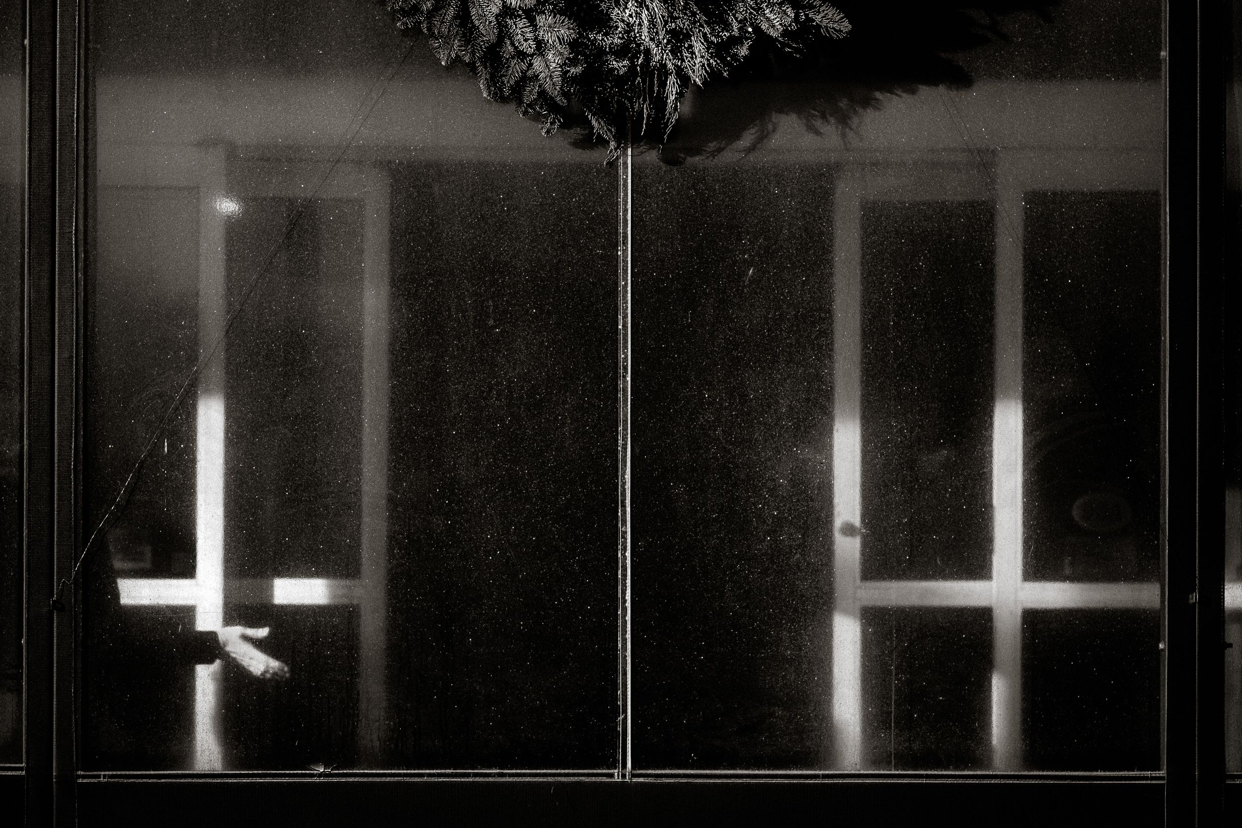Dark moody black and white photo of glass doors at night with bright light reflections and a plant silhouette.