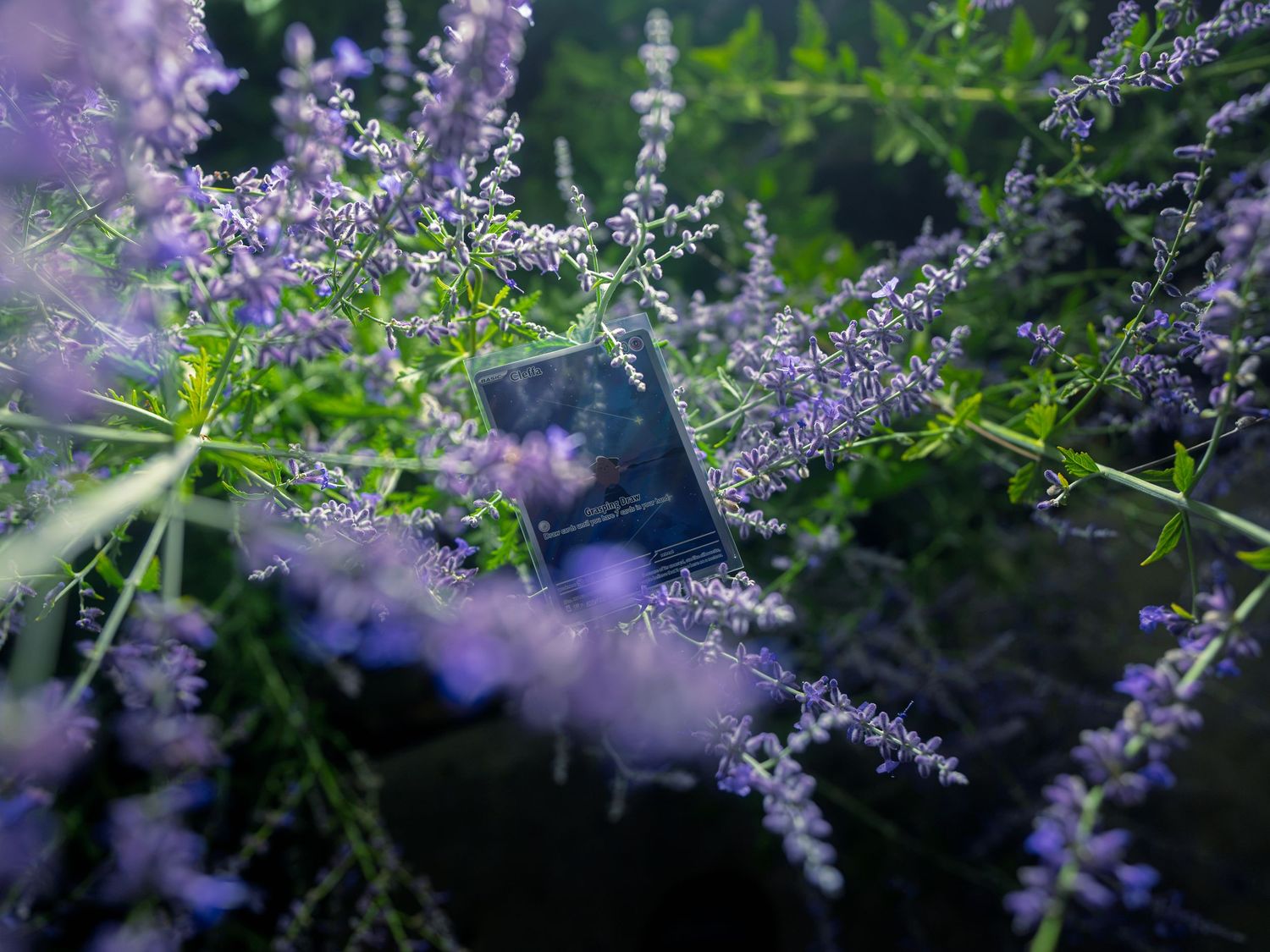 Product photograph of a starry blue-black collectible card nestled upright among purple lavender blooms, sunlight catching its surface.