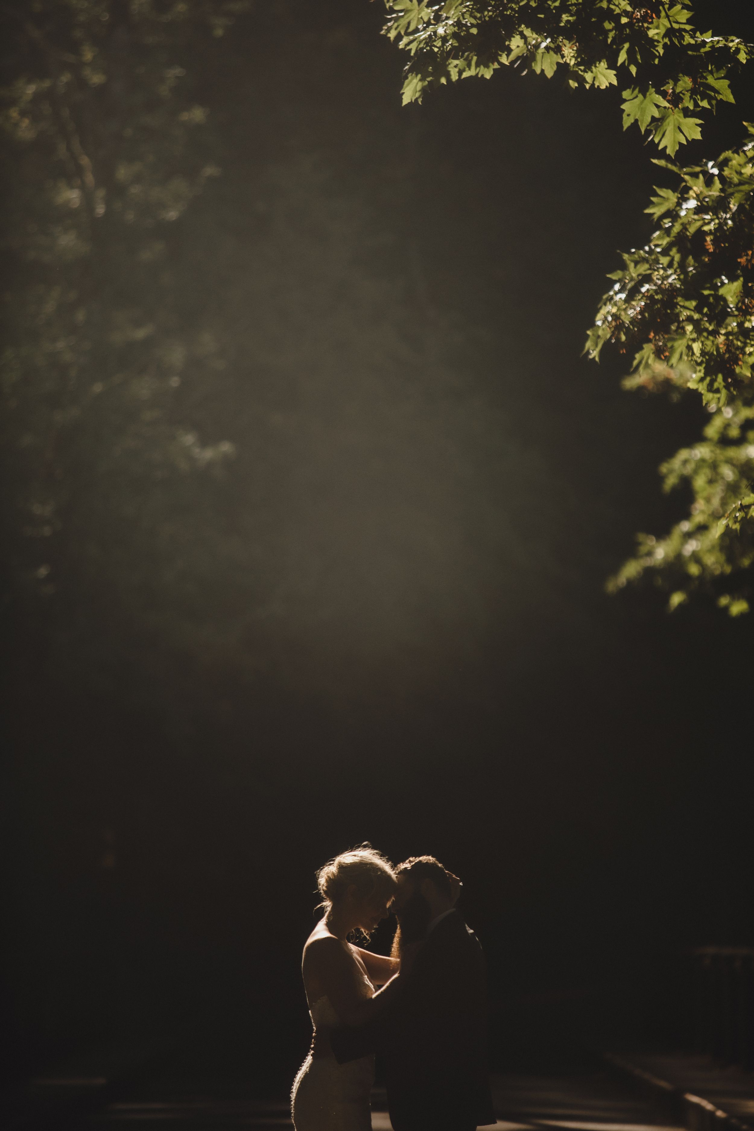 Romantic couple silhouetted kissing in a sunlit forest clearing surrounded by lush green trees.