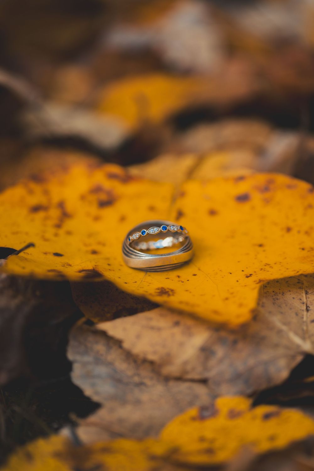 Two wedding rings resting on a vibrant yellow autumn leaf surrounded by fallen leaves.