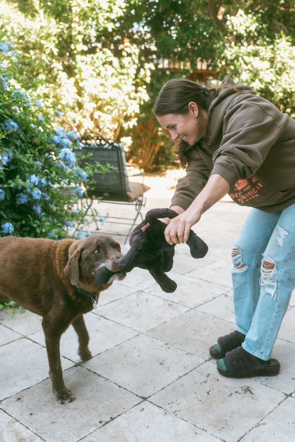 Young woman in ripped jeans and hoodie plays tug-of-war with a chocolate Labrador using a stuffed toy outdoors.