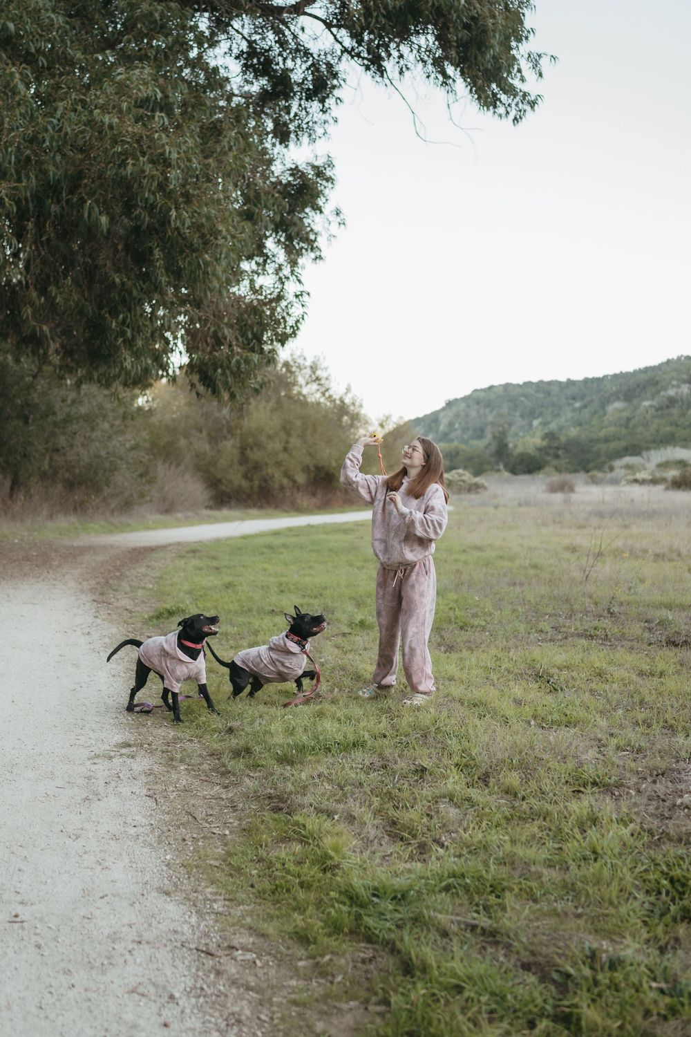 Woman in pink outfit training two black dogs wearing matching outfits on a scenic dirt path outdoors.