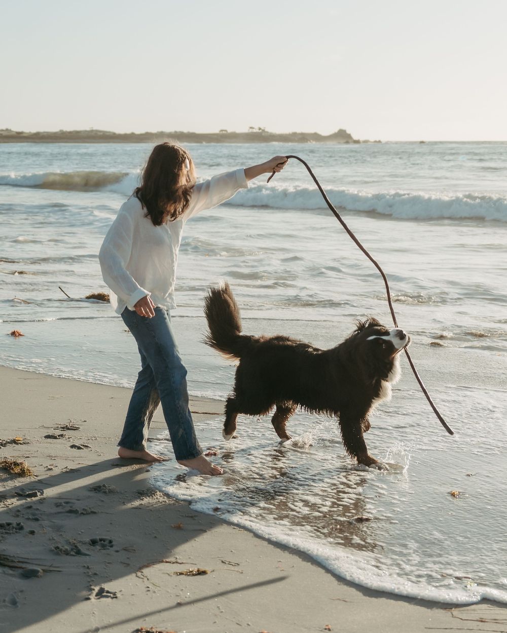 Woman in white top and jeans plays fetch with large black dog on sunny beach at waters edge.