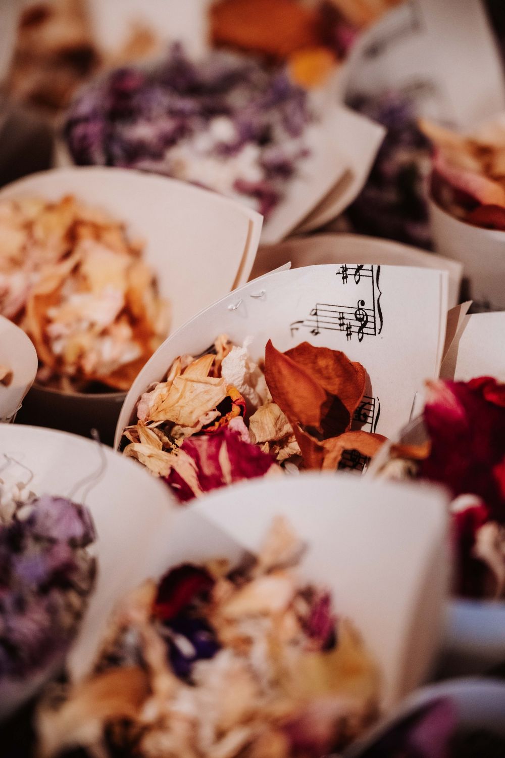 Paper cones filled with dried flower petals and music notes, perfect for a wedding confetti toss.