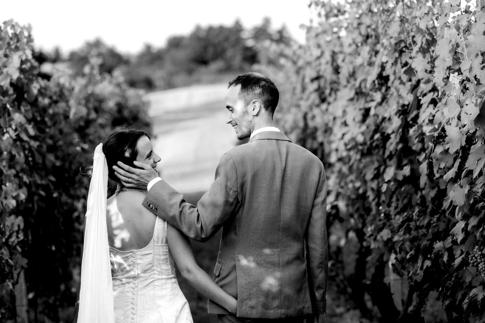 Black and white photo of a bride and groom sharing a romantic moment among lush vineyard rows on their wedding day.