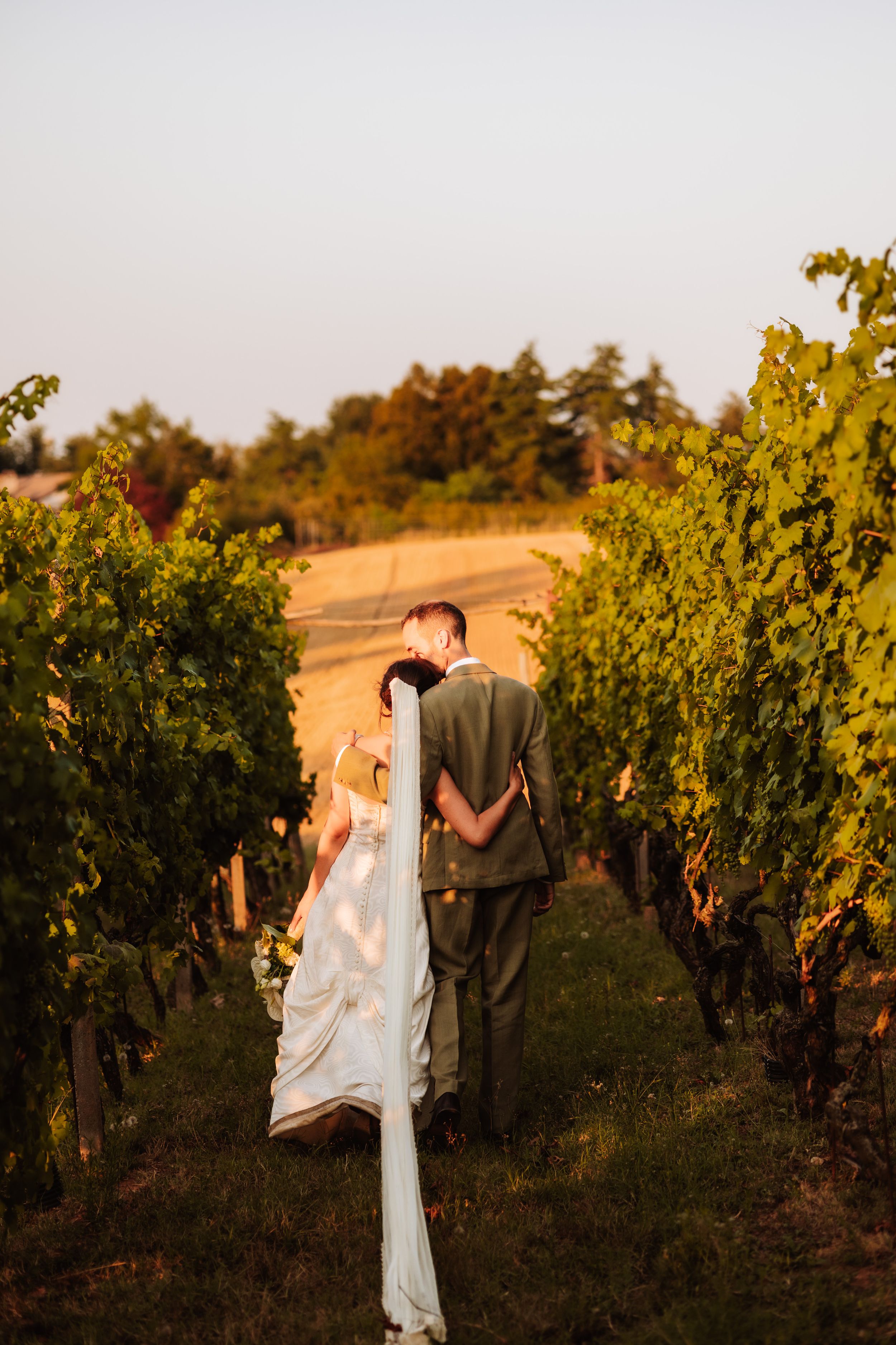 Bride and groom kissing in a lush vineyard at golden hour, bride's veil trailing behind her.