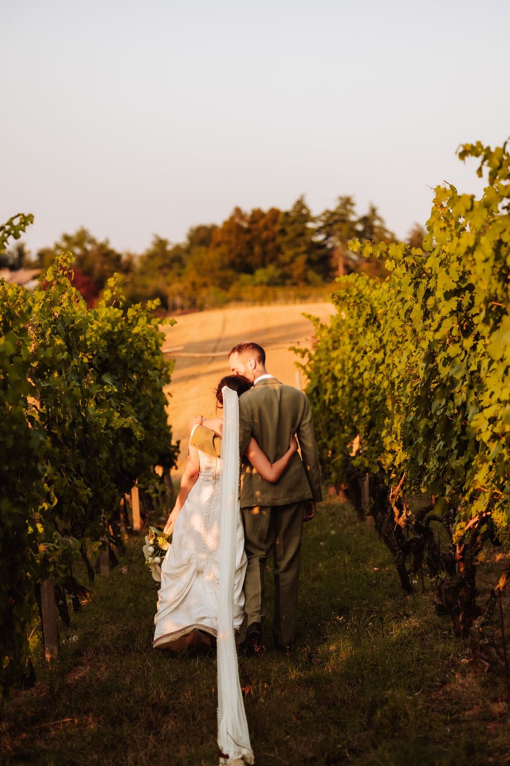 Bride and groom kissing in a lush vineyard at golden hour, bride's veil trailing behind her.