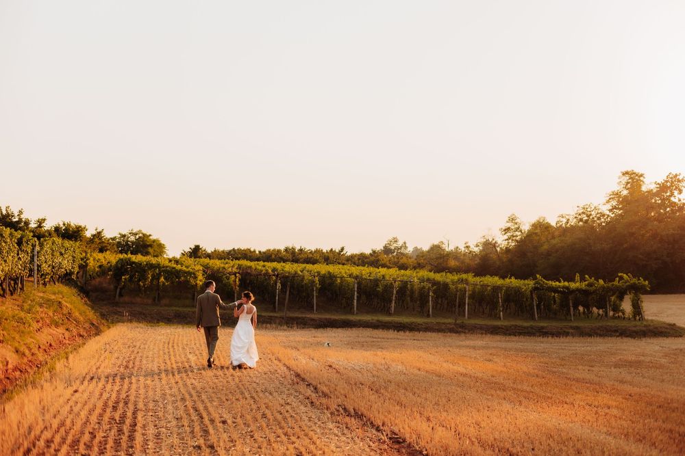 Bride and groom walking hand in hand through a sun-kissed vineyard at golden hour on their wedding day.