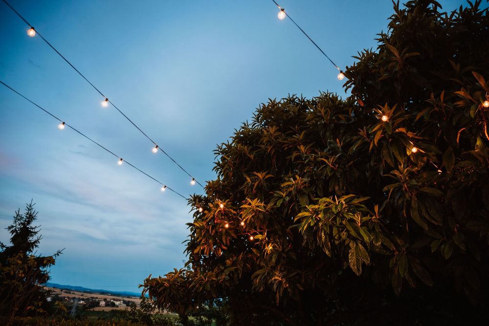 String lights strung between trees glow warmly against a twilight blue sky in an outdoor evening setting.
