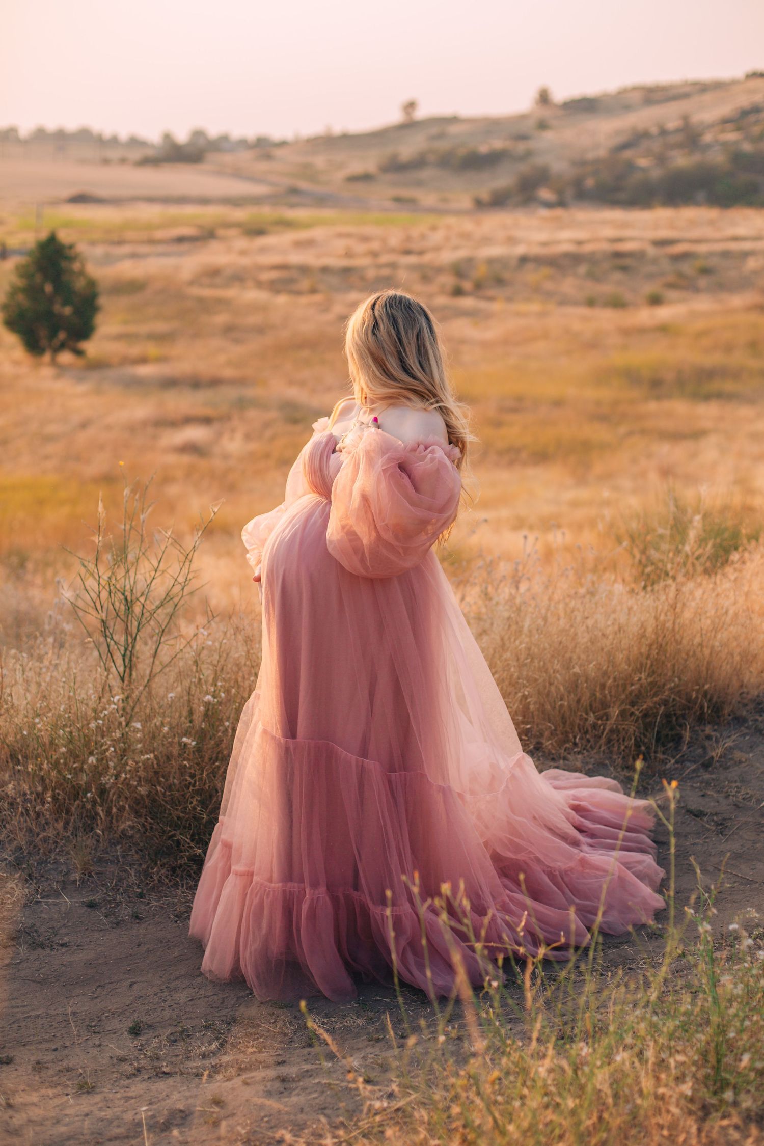 Woman in pink tulle gown standing in golden field at sunset, viewed from behind.