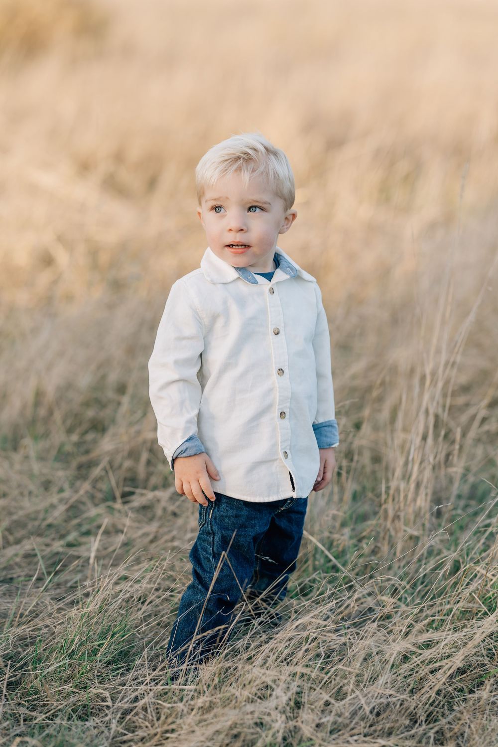 Blonde toddler boy in white button-up shirt and jeans standing in golden dry grass field.