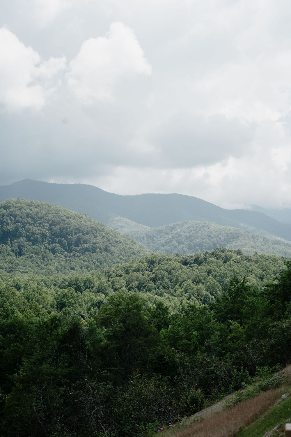 Lush green forested mountains under a cloudy sky, showcasing layers of rolling hills in a serene landscape.