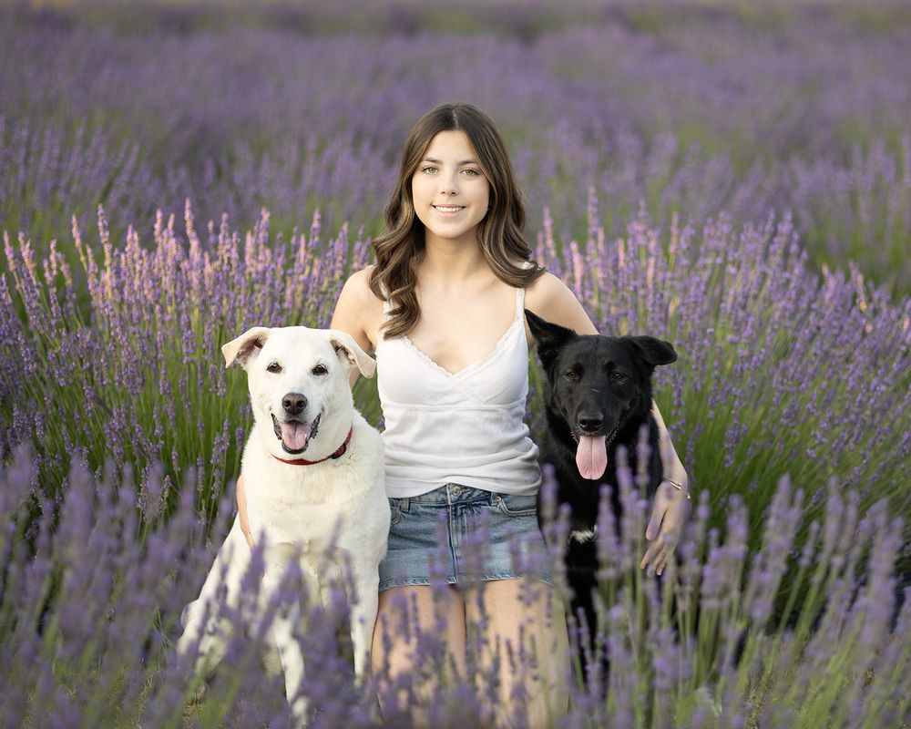 A young woman poses with a white and black Labrador mix in a lavender field.