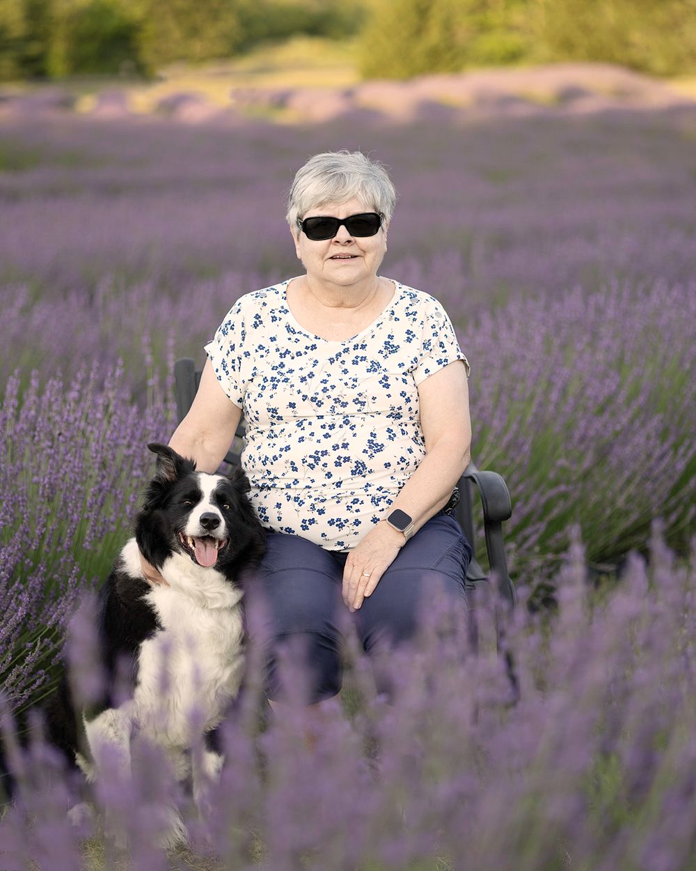 Woman sitting in a lavender field with a Border Collie dog.