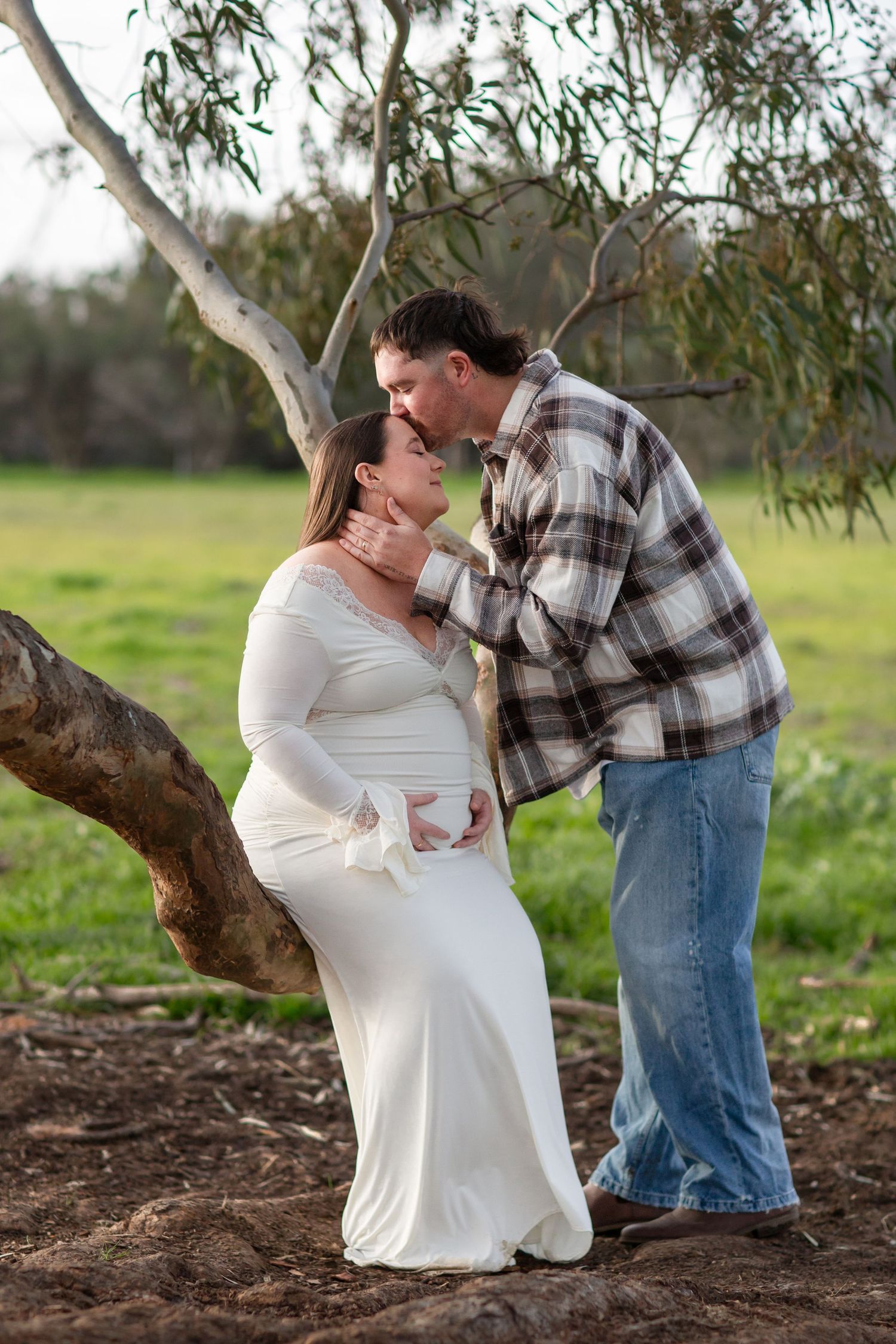 Couple kissing in a tree on a rural property during a maternity session in Perth