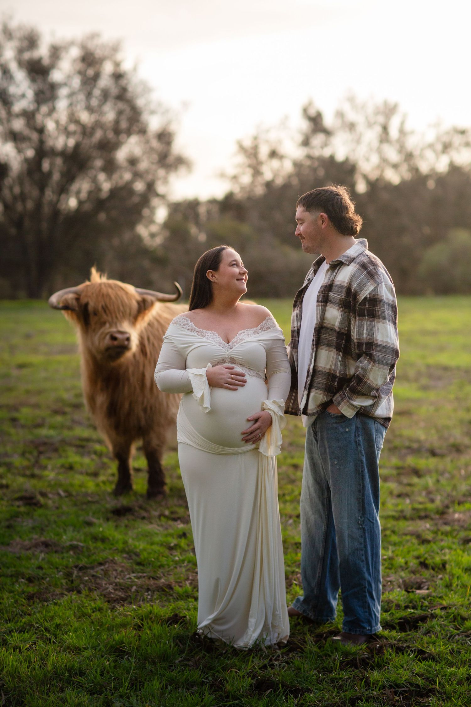 Couple looking at each other while holding baby bump in a paddock next to a highland cow during maternity session in Perth