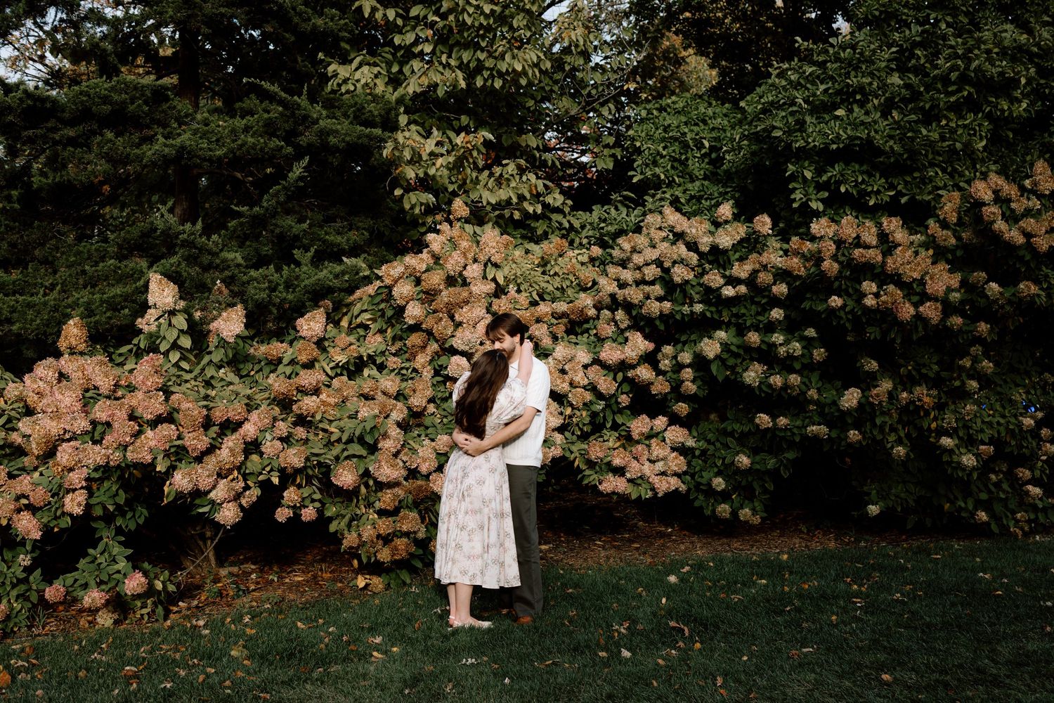 Couple embracing in a lush garden surrounded by blooming pink hydrangeas and tall green trees.