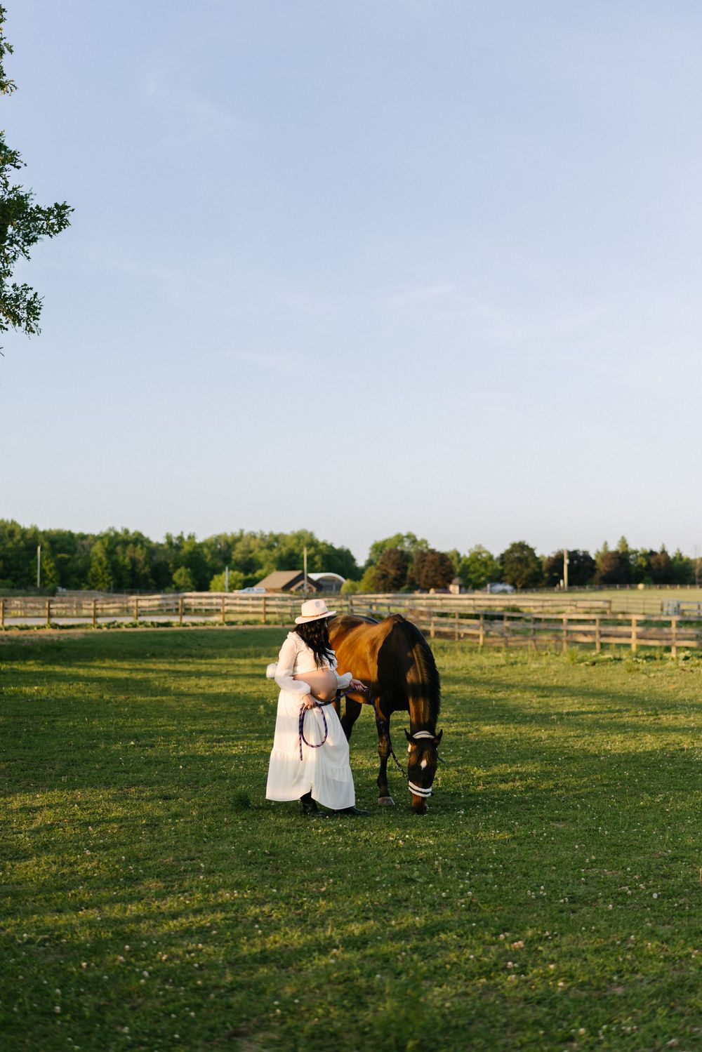 Expectant mother leading a horse across an open field.