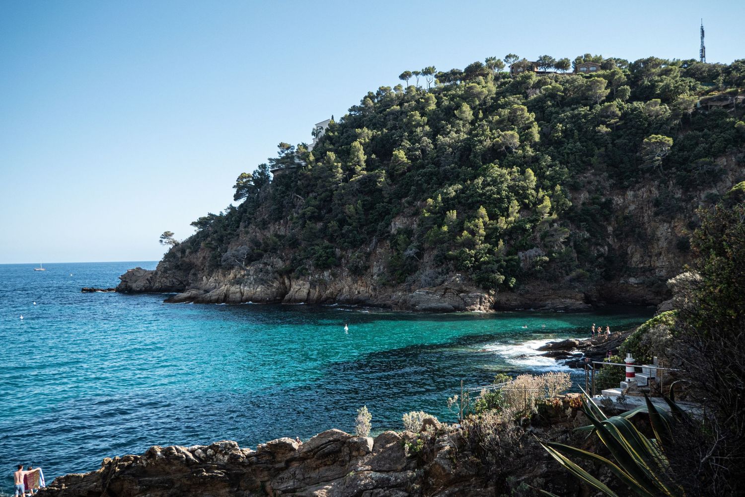 Lush green trees and turquoise waters in south of France.