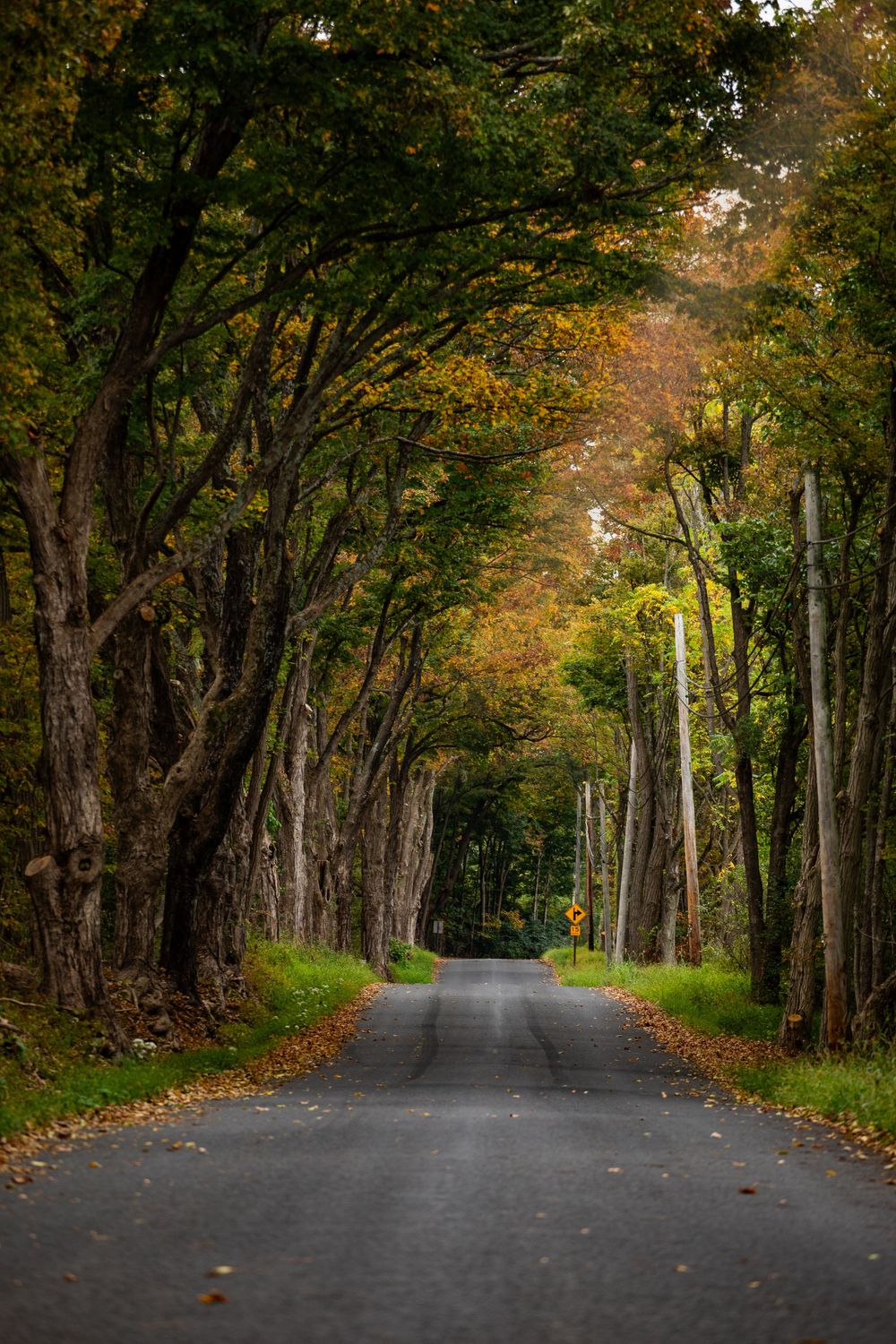 Autumn in central PA