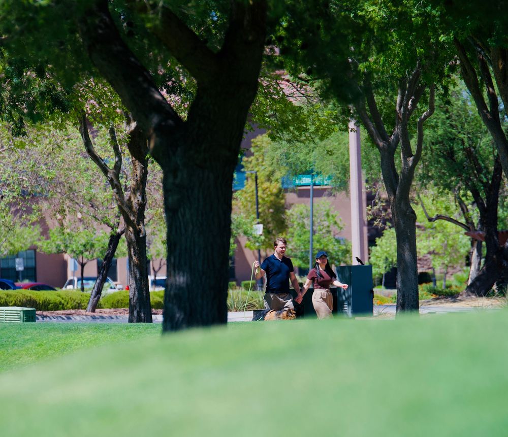 Two people sitting and conversing under large shade trees in a lush green campus park on a sunny day.