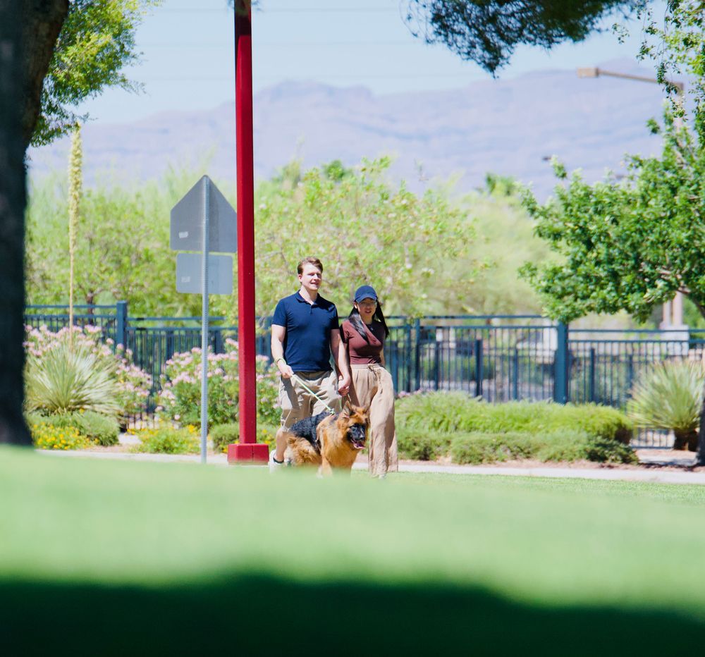 A couple walks their golden dog through a vibrant green park with mountains visible in the background.