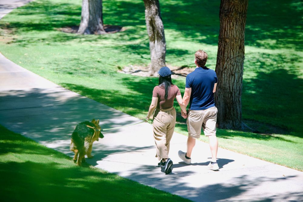 Couple strolling with their German Shepherd dog along a sunny park pathway surrounded by trees.