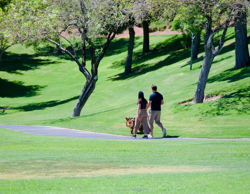 Couple walking a golden dog on a path through a lush green park with trees.