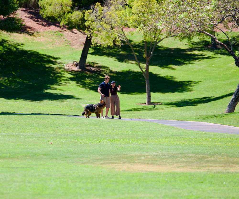 Two people and their dog enjoying a sunny walk on a green grassy park lawn.