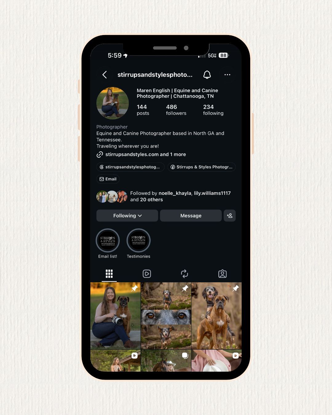 Digital gallery mockup showing horse photography displayed on a laptop and smartphone screen.