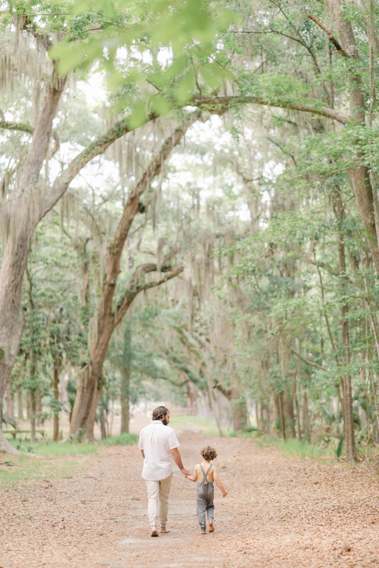 A parent and toddler walk hand-in-hand down a serene moss-draped tree-lined path in soft natural light.