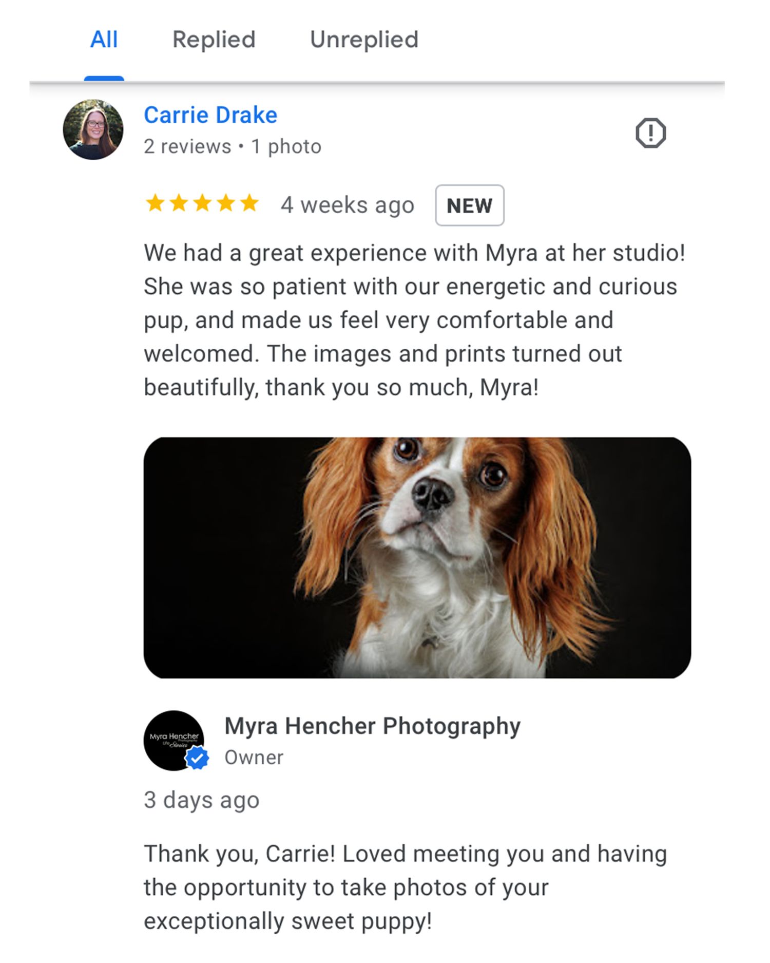 A Cavalier King Charles Spaniel dog with brown and white fur poses against a dark background in a professional portrait.