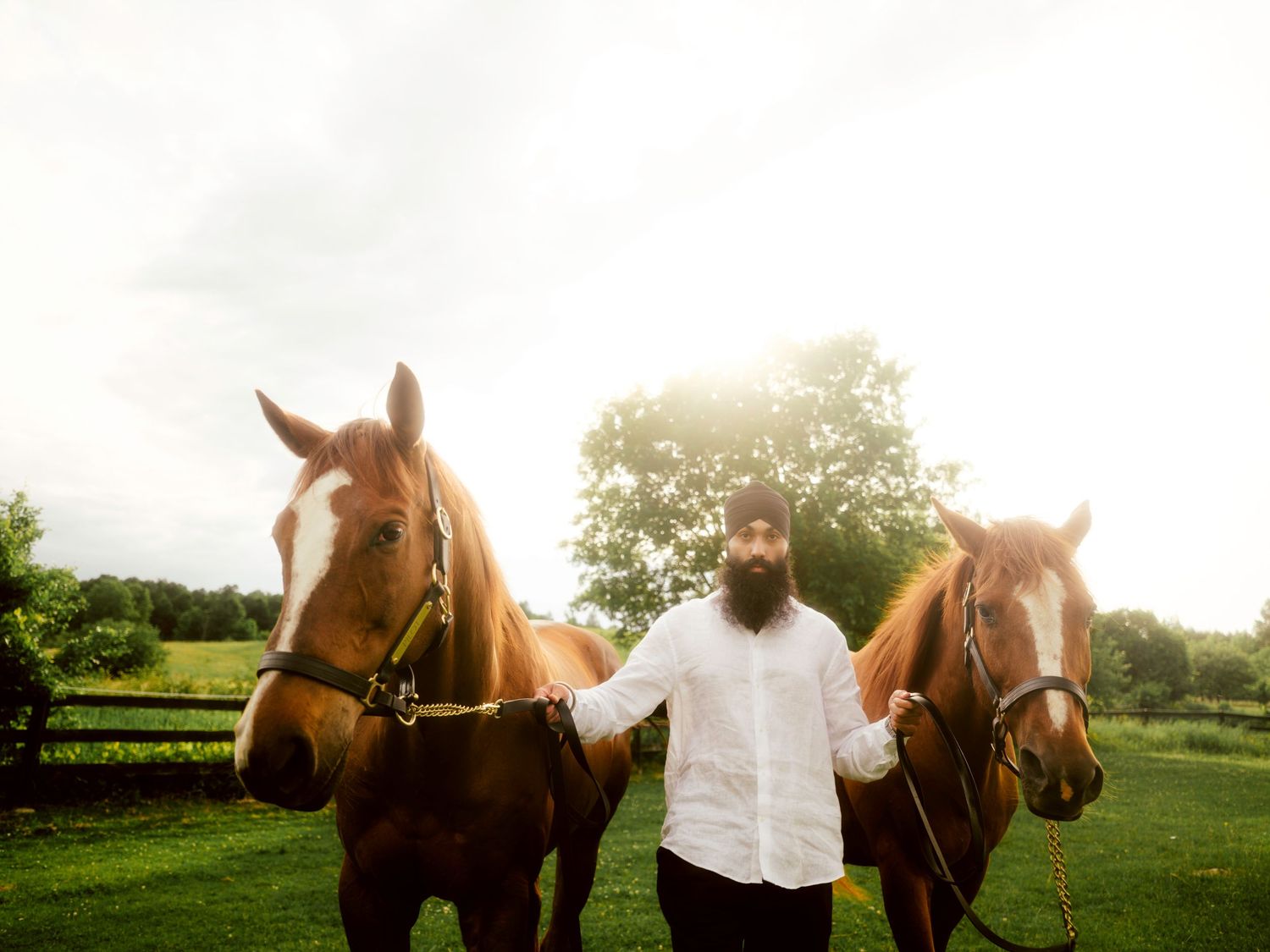 A bearded Sikh man in white shirt stands between two brown horses on a lush green farm.