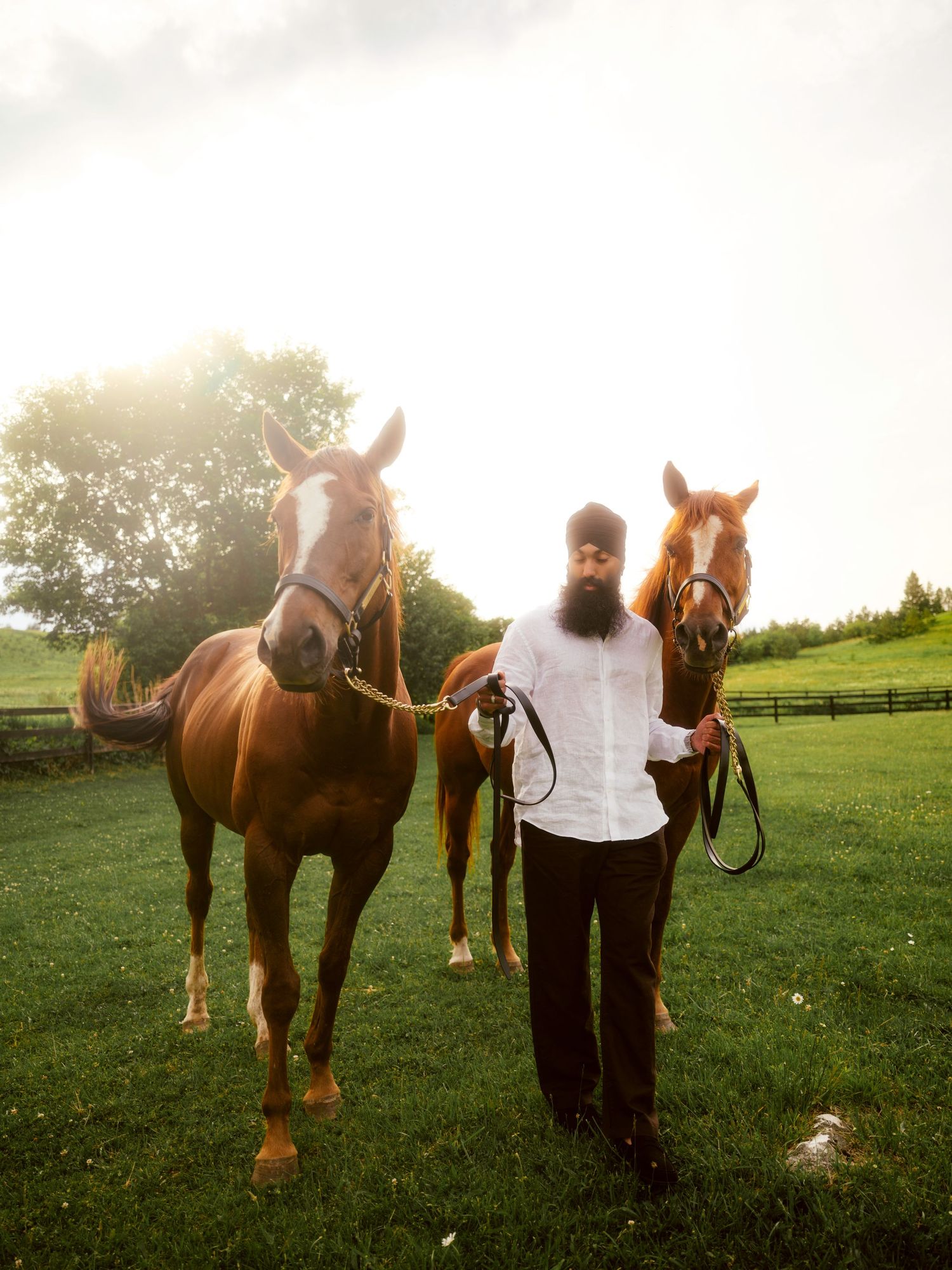 A bearded man in a white shirt stands between two chestnut horses on a lush green farm at golden hour.