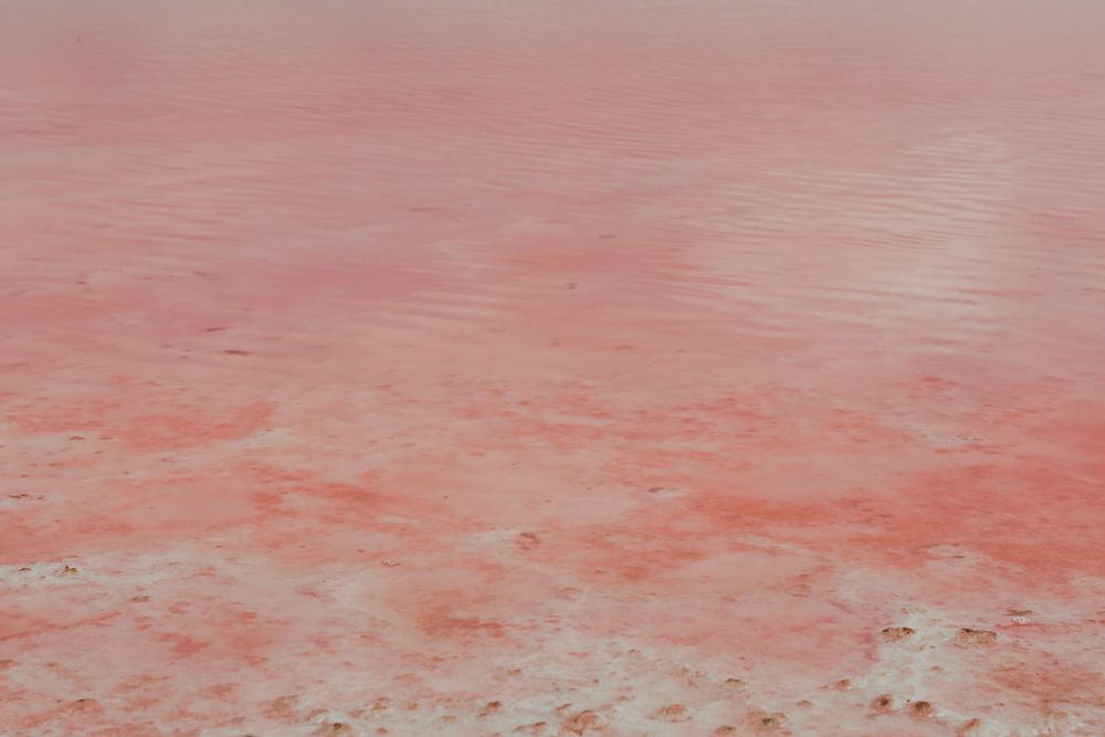 Pink lake destination photoshoot, Walvis bay, Namibia