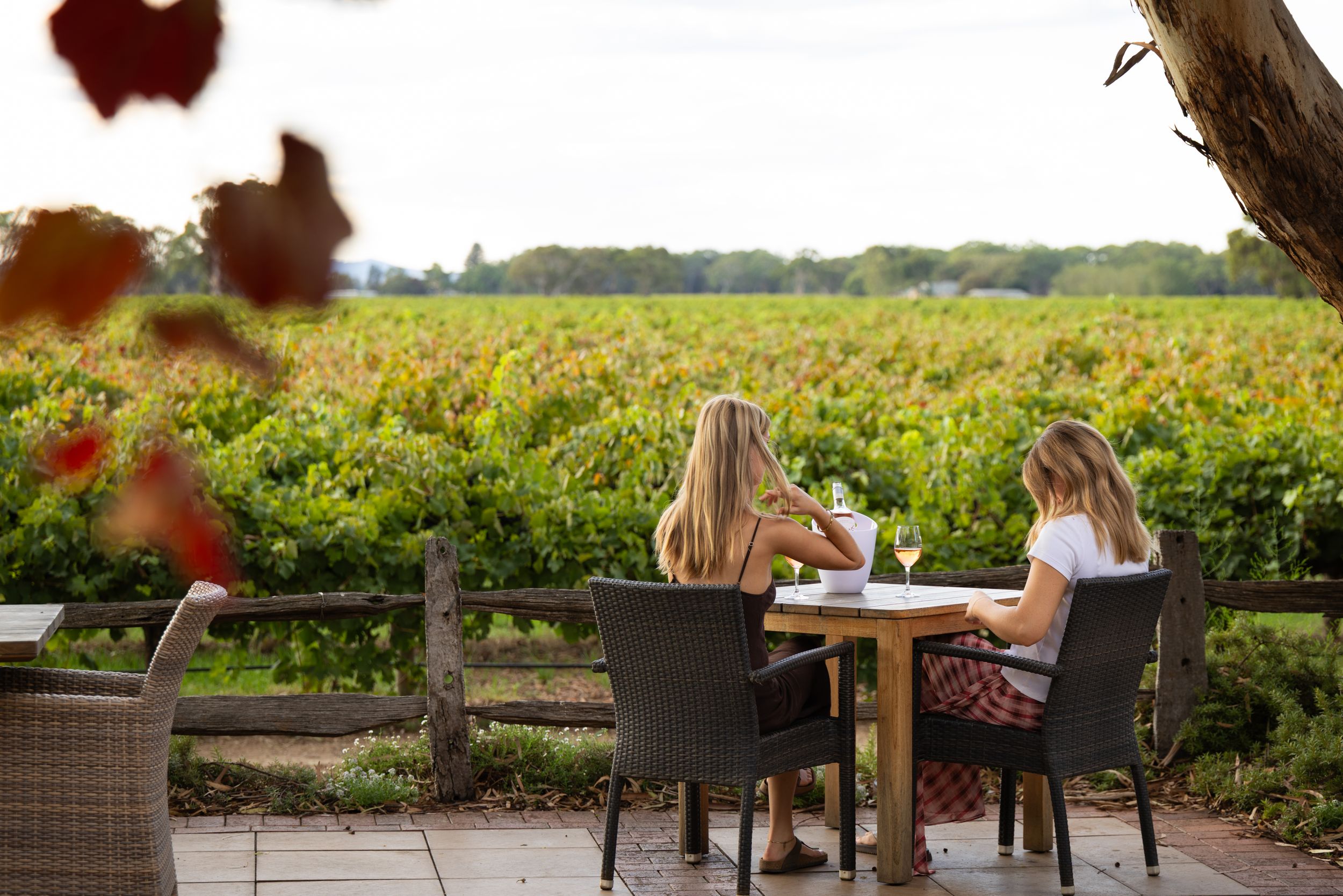 Two women dining al fresco on a terrace with scenic vineyard views in background.