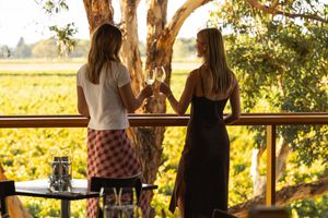 Two women toasting wine glasses on a balcony overlooking lush green vineyard rows.