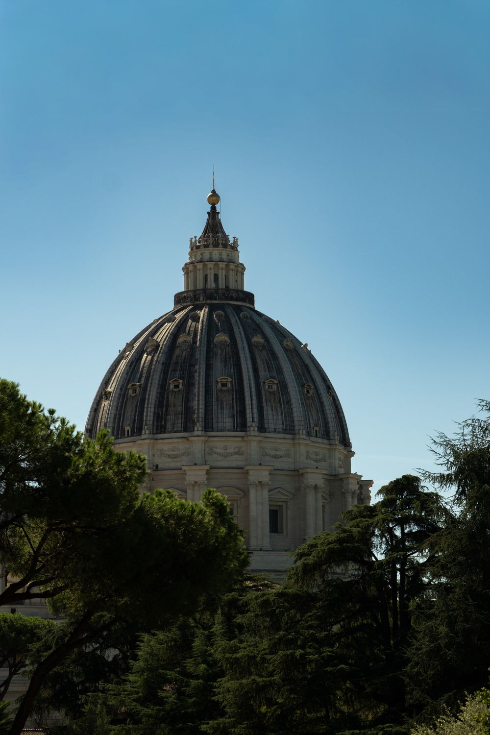 The ribbed dome of St. Peter's Basilica in Vatican City rises above green trees against a clear blue sky.