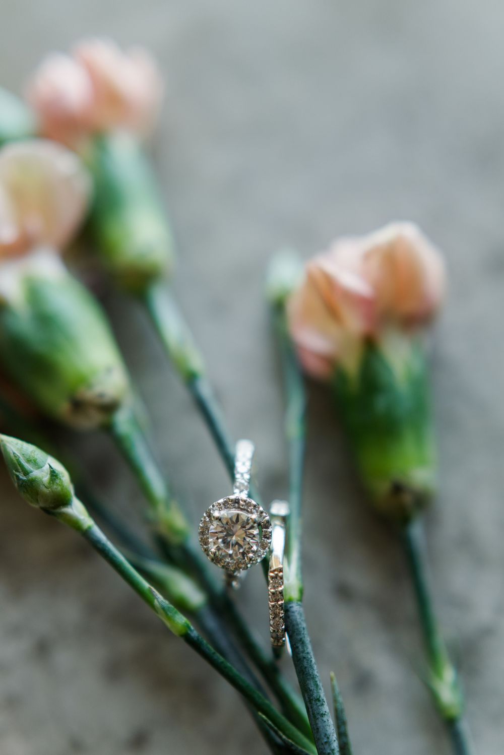 Romantic wedding photographer in KZN Midlands